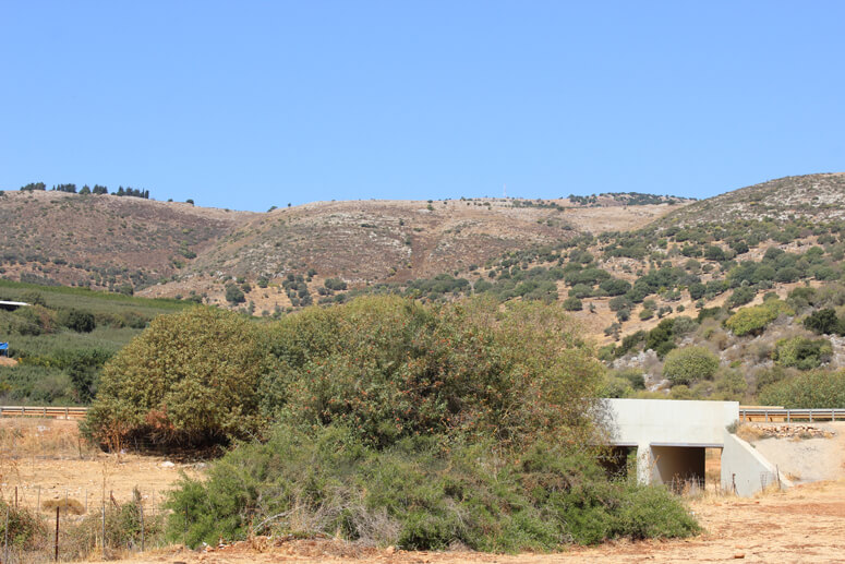 גשר עלמא ונחל דישון גשר עלמא ונחל דישון
